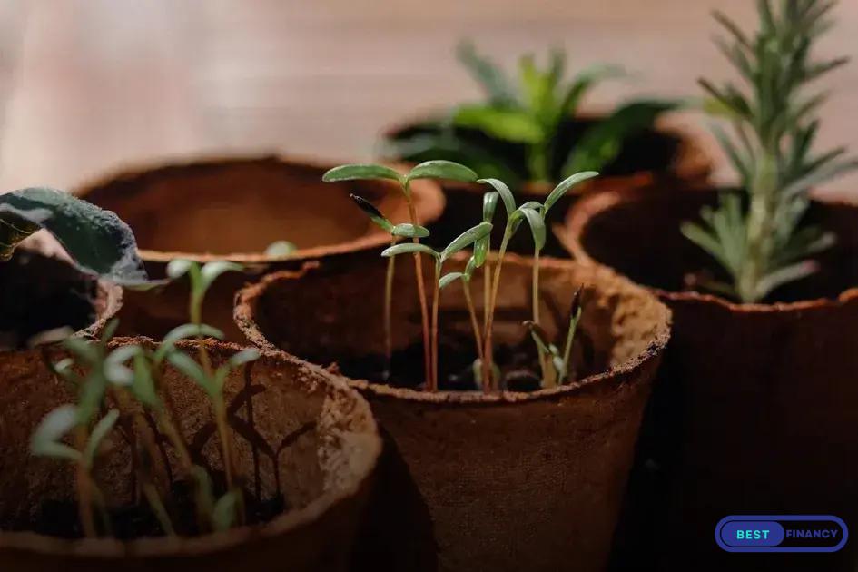 Common Types of Plant Diseases