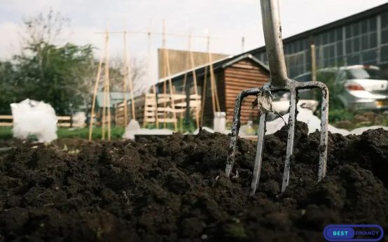 Dealing with Garden Pests Naturally: Tips for Success