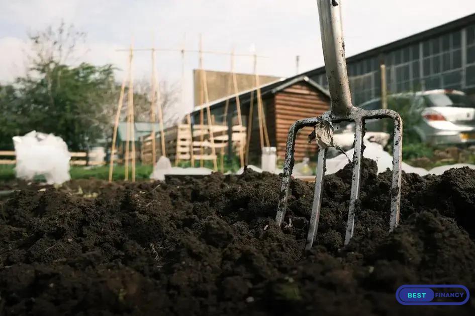 Dealing with Garden Pests Naturally: Tips for Success