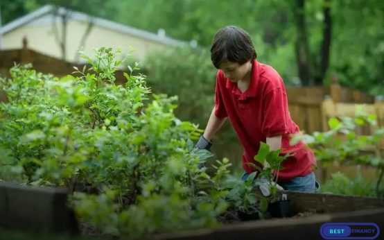 Garden Design Ideas to Transform Your Backyard Instantly