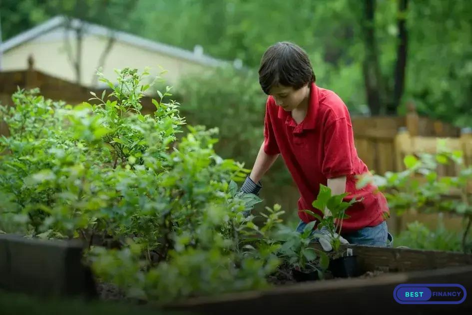 Garden Design Ideas to Transform Your Backyard Instantly