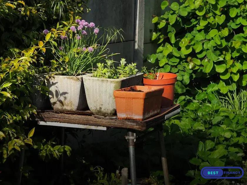 Installation Tips for Water Features