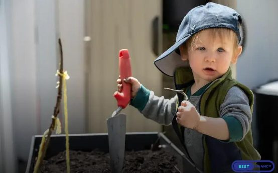 Outdoor Lighting Ideas: Highlight Your Garden at Night
