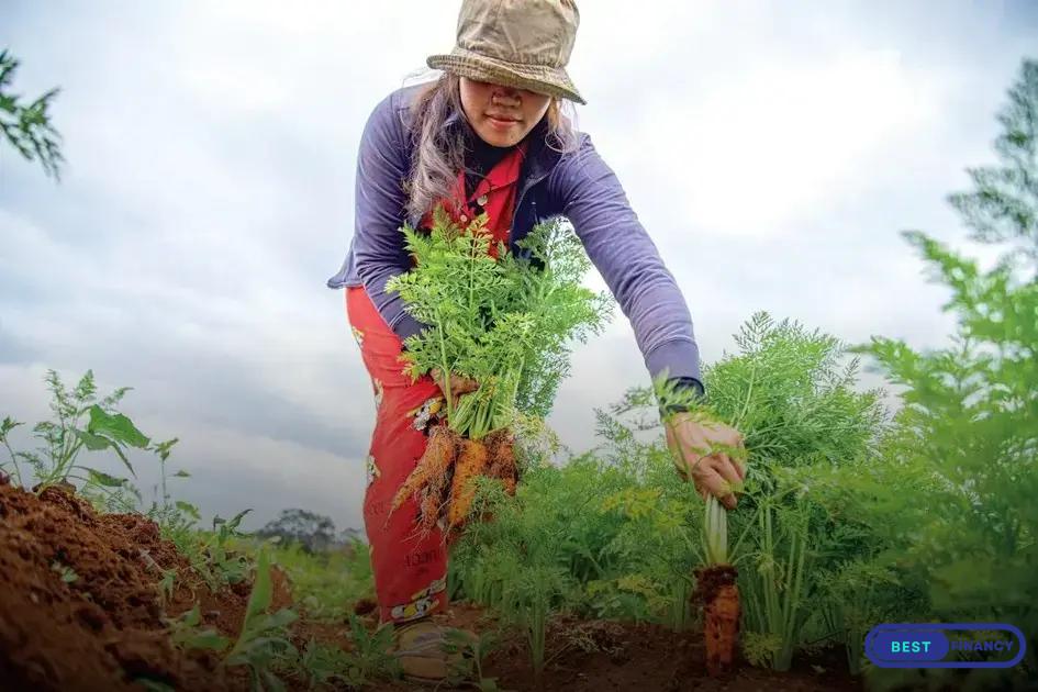 Techniques for Soil Protection