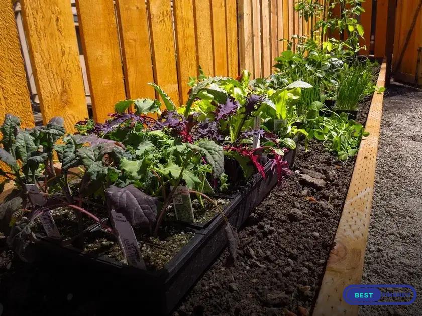 Use Natural Materials for Pathways